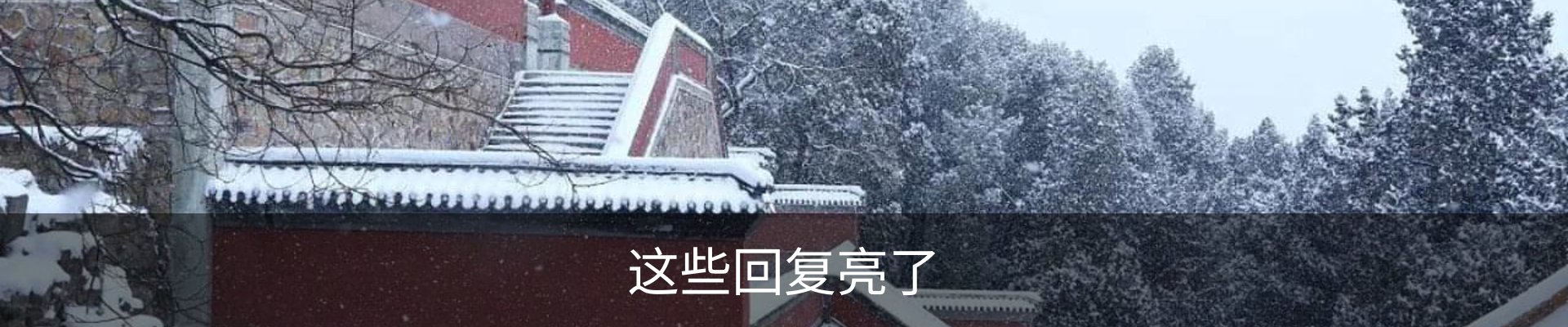 最新动态